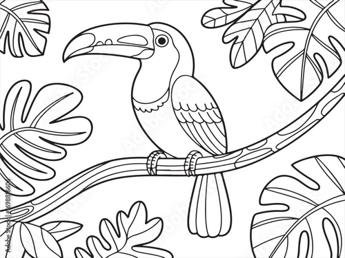 Detailed coloring page of exotic toucan with large beak