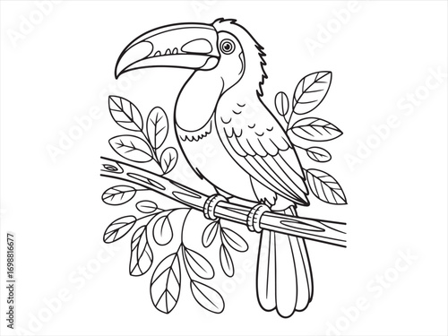 Black and white line art of toucan bird on a branch with leaves