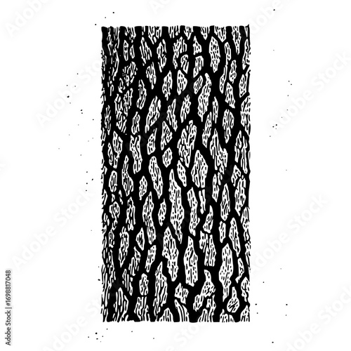 Close up of a tree trunk bark pattern in black and white with detailed texture and organic shapes design