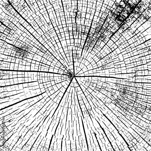 Distressed tree ring pattern with radial cracks and growth lines in black and white texture design
