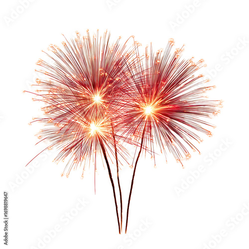 Exploding fireworks fill a dark night sky with light Long radiant strands illuminate the surroundings with celebratory radiance