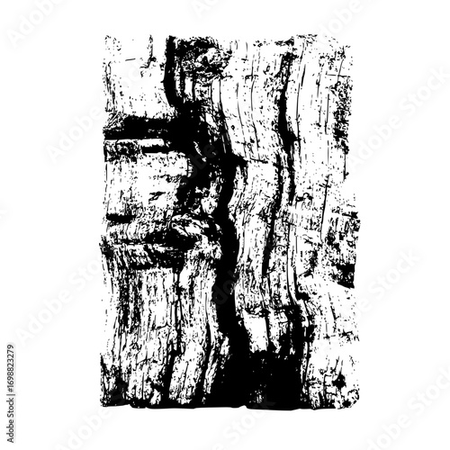 Close up view of a textured tree trunk with deep crevices and a knot in black and white monochrome style
