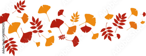 An assortment of red and orange leaves, including ginkgo and ash varieties, arranged in a flowing pattern across the image. The leaves are vector silhouette illustration isolated on white background 