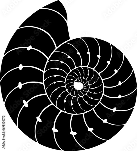Nautilus Shell Illustration: A captivating black and white illustration showcasing the intricate spiral structure and natural beauty of a nautilus shell.