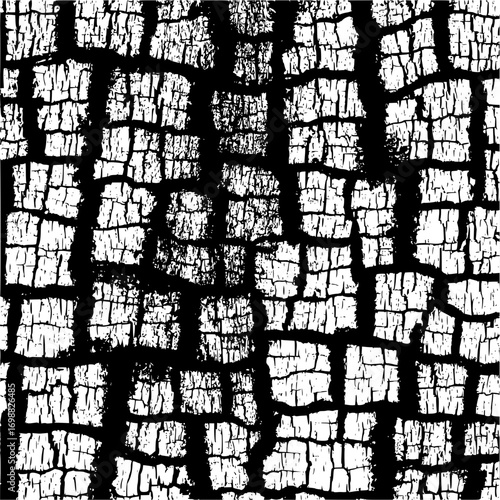 Close up of a black and white cracked surface with a distinct pattern of irregular shapes and lines