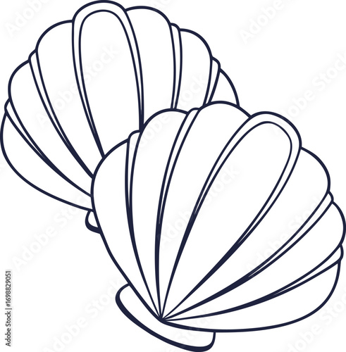 Two stylized dark blue outline seashells on a white background marine life ocean