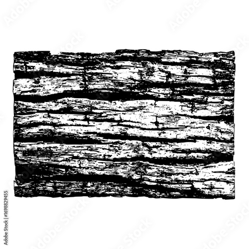 A detailed black and white illustration of a rough and textured bark surface with horizontal lines