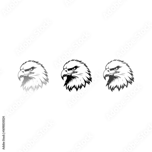 Falcon Face Vector Illustration