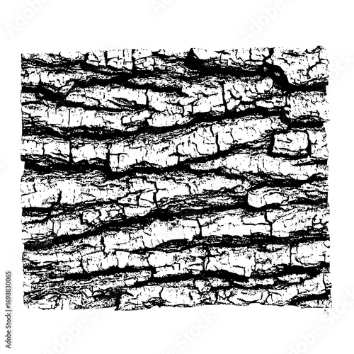 Illustration of a detailed black and white tree bark texture with deep furrows and rough surface detail