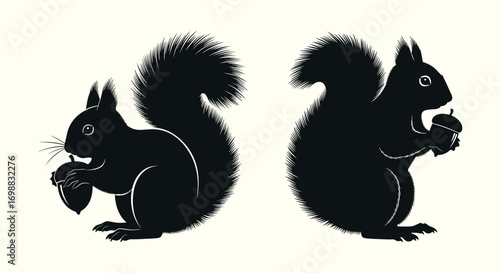A charming set of two black squirrel silhouettes, one eating and one holding an acorn. A simple graphic vector illustration of wildlife isolated on a light background