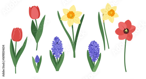 Bright spring flowers: tulips, daffodils, and hyacinths in a flat design