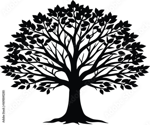 Beech Tree Silhouette Vector | Beech Tree Outline Illustration