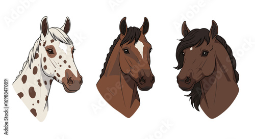 Minimalist Line Art Horse Faces – Different Breeds Illustration