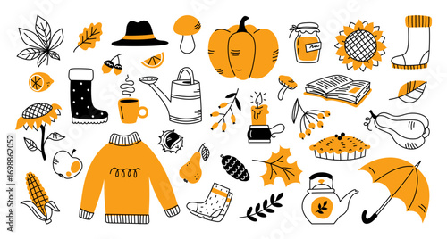 Set of autumn elements. Fall. Vector isolated illustration for albums, cards, posters, invitations, stickers