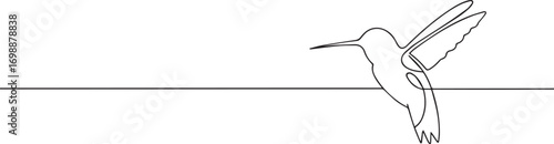 flying hummingbird continuous one continuous line art, Vector illustration, One line art, Line art graphic style.