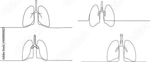 4 human lungs continuous one continuous line art, Vector illustration, One line art, Line art graphic style.