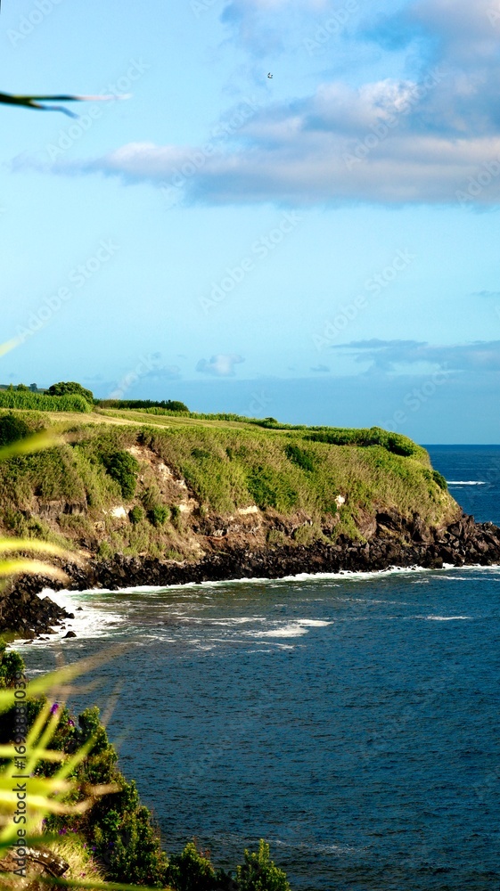 Fototapeta premium view of the coast of the sea