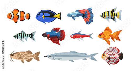 Vibrant collection of popular aquarium fish species, including clownfish, betta, and goldfish.