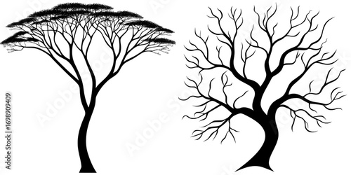 The Tree of Life illustration is a stylized, minimalist depiction of a tree with lush leaves in black and white, signifying growth, strength, and resilience