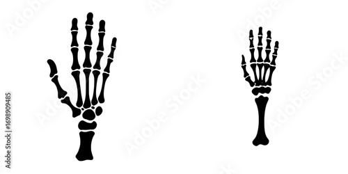A detailed illustration of a skeletal hand in black and white showcases the intricate anatomy of human bone structure with a bold graphic style