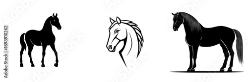 The silhouette of a horse is depicted in a strong and elegant manner, featuring a flowing mane and tail, all encapsulated in a minimalist design that is perfect for equestrian-themed projects,