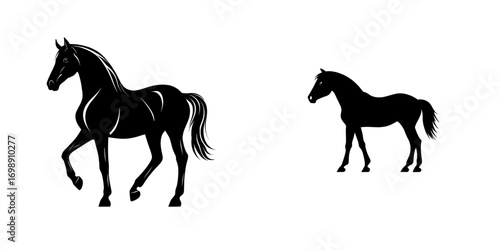 A striking black silhouette of a horse, captured in profile, showcases its elegant form and powerful presence, conveying strength, grace, and freedom through minimalist design