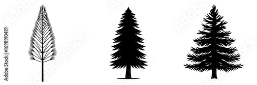 A majestic evergreen tree, depicted in a simple yet elegant black silhouette against a clean background, evokes a sense of timeless natural beauty and peaceful serenity, as seen in Evergreen