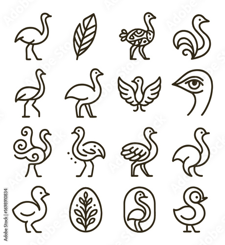 Ostrich linear icon set. featuring ostrich, bird, feather, chick, eye, wing, and egg symbols