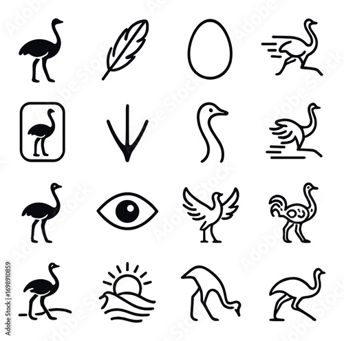 Ostrich silhouette icon set. featuring bird, feather, egg, footprint, head, running ostrich, and eye symbols