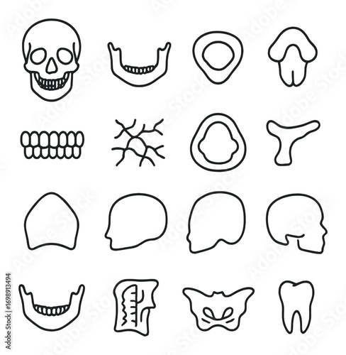 Anatomical elements linear icon set. featuring skull, jaw, vertebrae, teeth, and bone structures