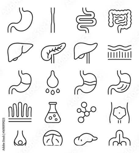 Digestive system linear icon set. featuring stomach, esophagus, intestines, liver, pancreas, and cells