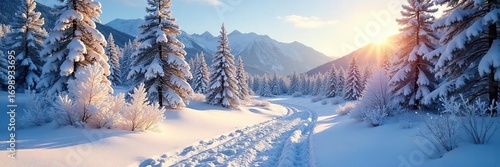 Frozen landscape, stark beauty of a Colorado winter morning Sunlight glints off icy trees and snow-covered ground Perfect for winter, nature, and travel themes , frost, outdoors, winter