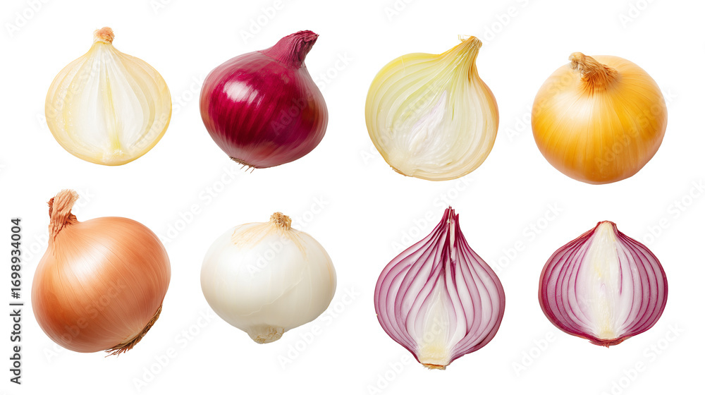 Fototapeta premium Onion Variety Mockup