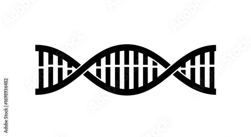 DNA structure vector illustration