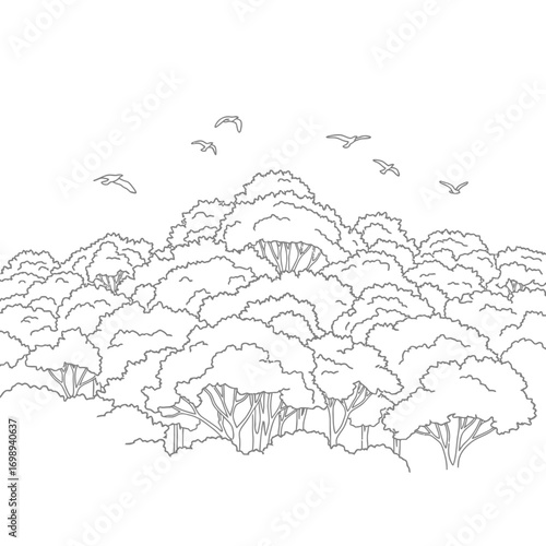 Vector art of minimalist black and white line art illustration of birds flying over dense forest trees