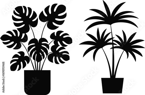 Black silhouette of potted monstera and palm plants with large tropical leaves, indoor home decoration, nature elements, botanical design, isolated vector illustrations