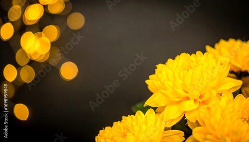 Yellow chrysanthemums on dark background with bokeh