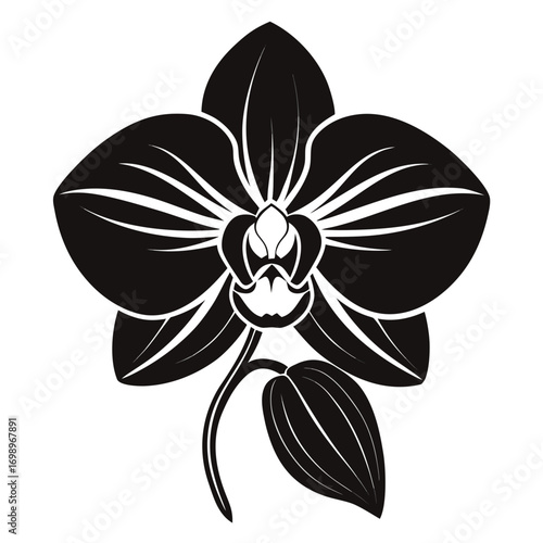 Elegant black orchid flower silhouette with a leaf isolated on white background