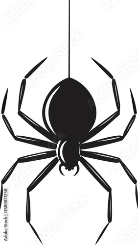 spider on a web