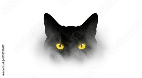 Mysterious gaze of the feline creature black cat with mesmerizing yellow eyes hidden in smoke