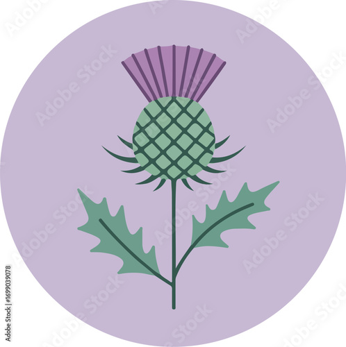 Botanical illustration of a stylized thistle with purple and green gradient