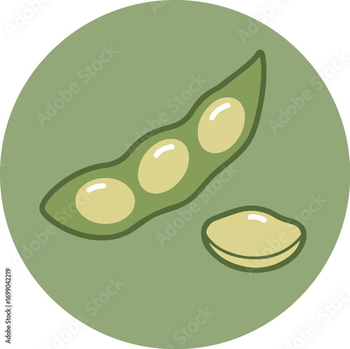 Botanical illustration of a green soybean pod with light beige soybeans on a green background