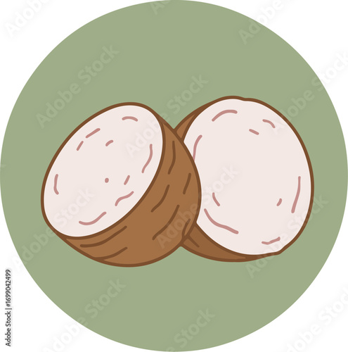 Two coconuts with brown husks and creamy flesh on a light green background