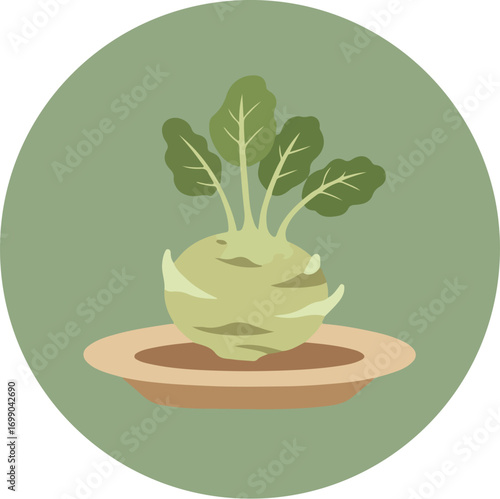 Illustration of a head of cauliflower with green leaves on a brown base