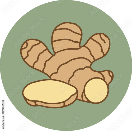 Close-up of a freshly harvested ginger root with a circular border on a green background