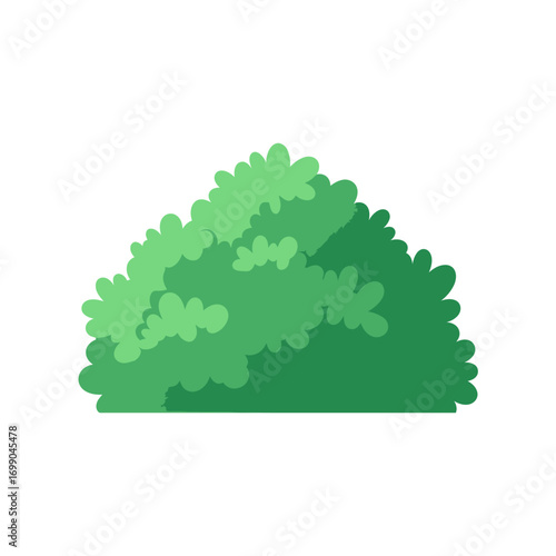 Green Bush in a Garden Setting.