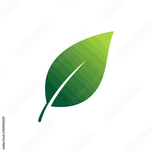 Green leaf illustration representing nature and environment.