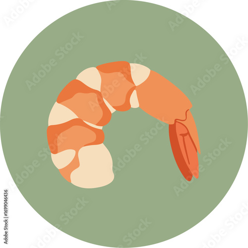 Single shrimp with segmented texture on light green background