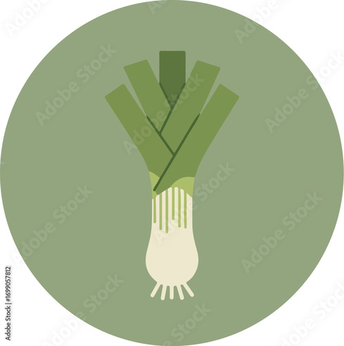 Botanical illustration of a leek in a circular frame with a green and white color palette