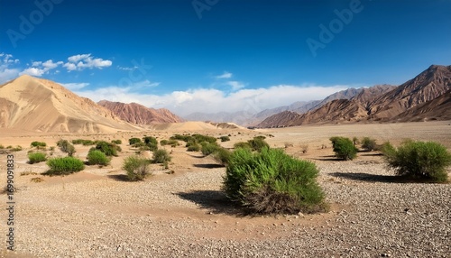 vast landscape of dried terrain with green shrubs in faryab province afghanistan